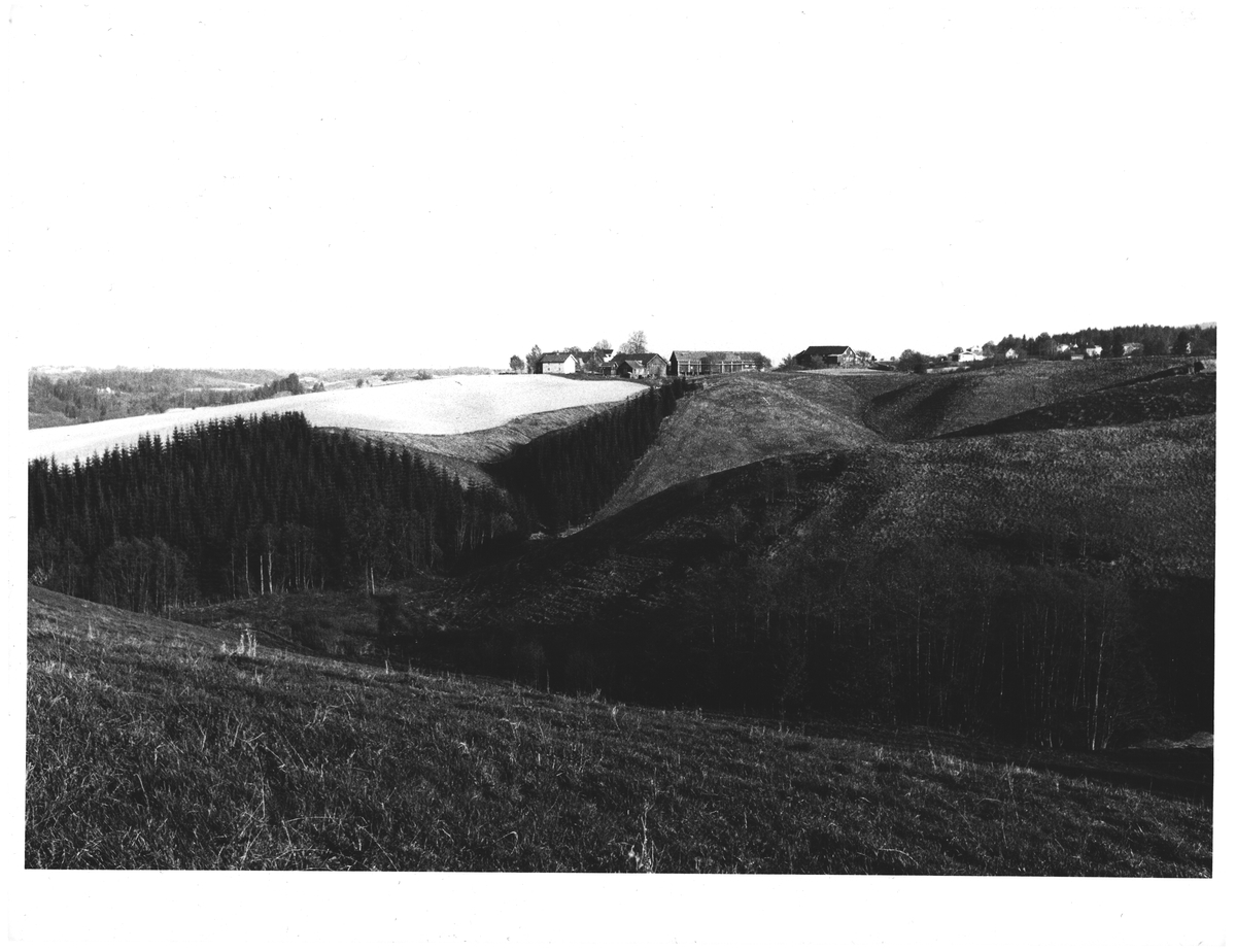 [?] Nannestad