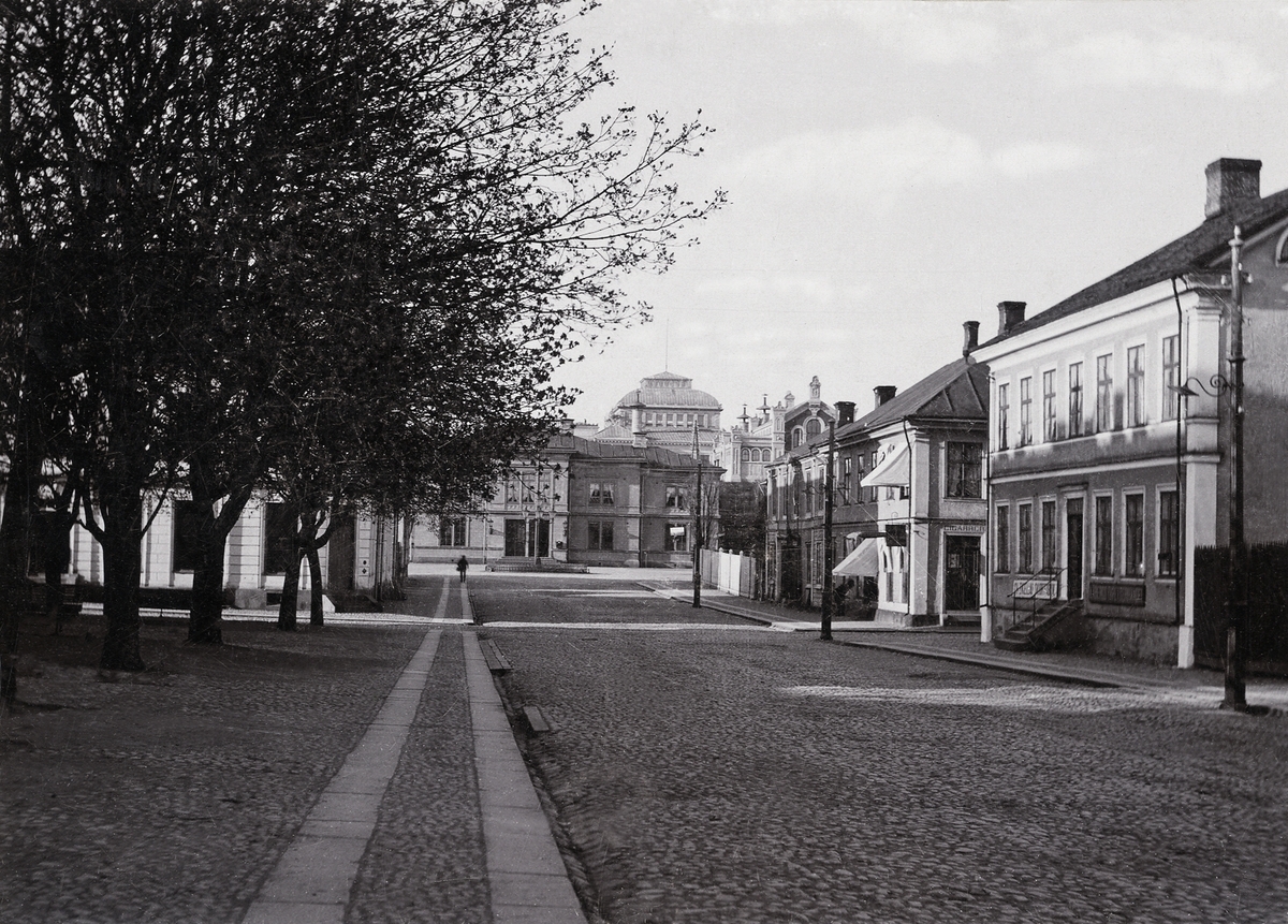 Kungsgatan i Växjö, söderut. 1890.