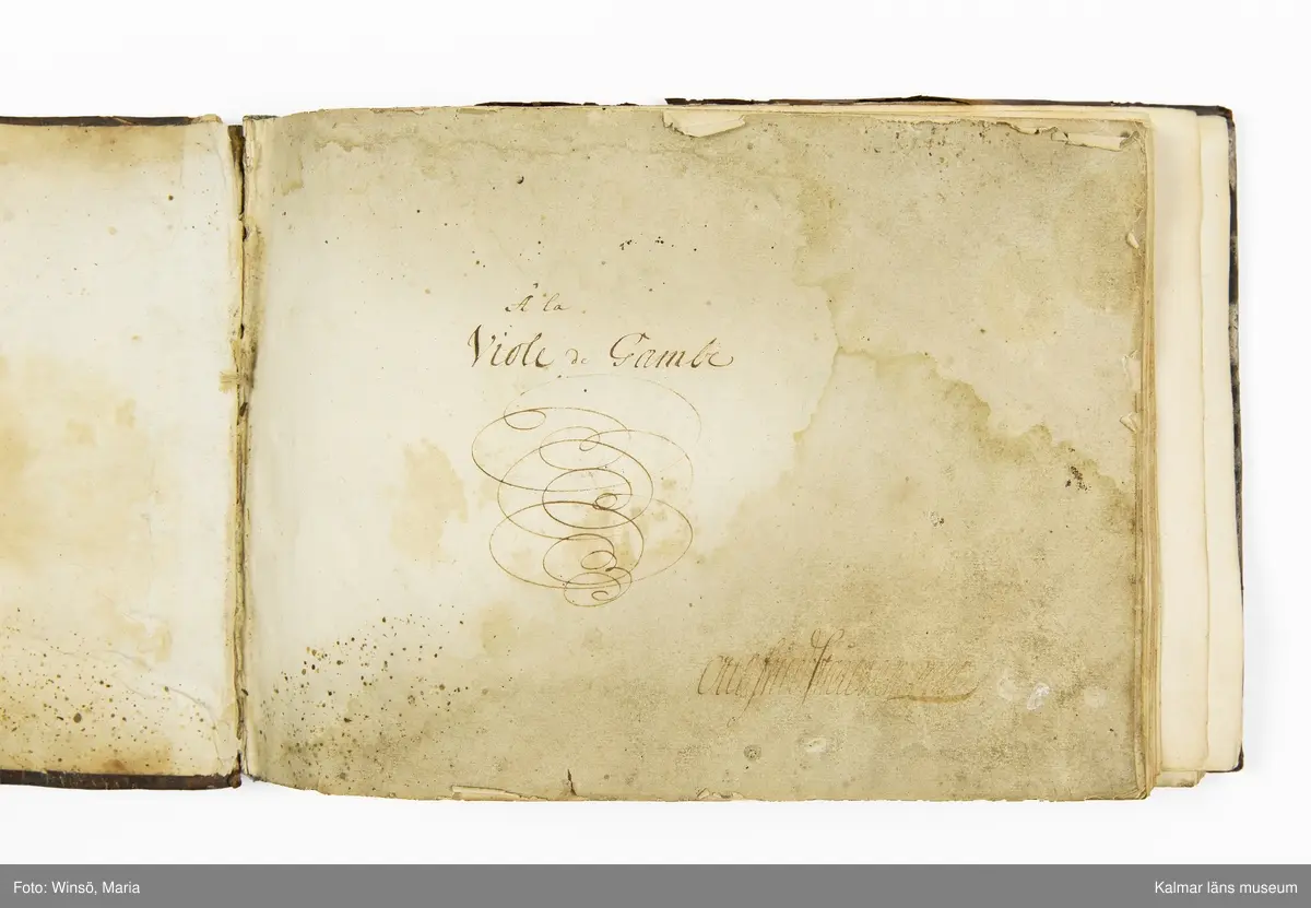 KLM 21068. Notbok, handskrift. 34 blad (68 sidor). Tvärformat. Brunt helt skinnband med präglad gulddekor på ryggen. På pärmens insida en namnteckning: O:F:Stålhammar, samt påklistrad reklametikett i kopparstick för pappershandlare Maingueneau i Paris 1697. På försättsbladet stämplat i svart med Stålhammarska vapnet. 

Handskriften påbörjad från bokens båda sidor. Den första delen består av tabulaturer för barockluta (bild 8-30 illustrerar denna del av boken). På försättsbladet till andra delen av boken: A la Viole de Gambe samt Otto Fried Stålhammar (bild 31 och framåt illustrerar denna delen av boken).