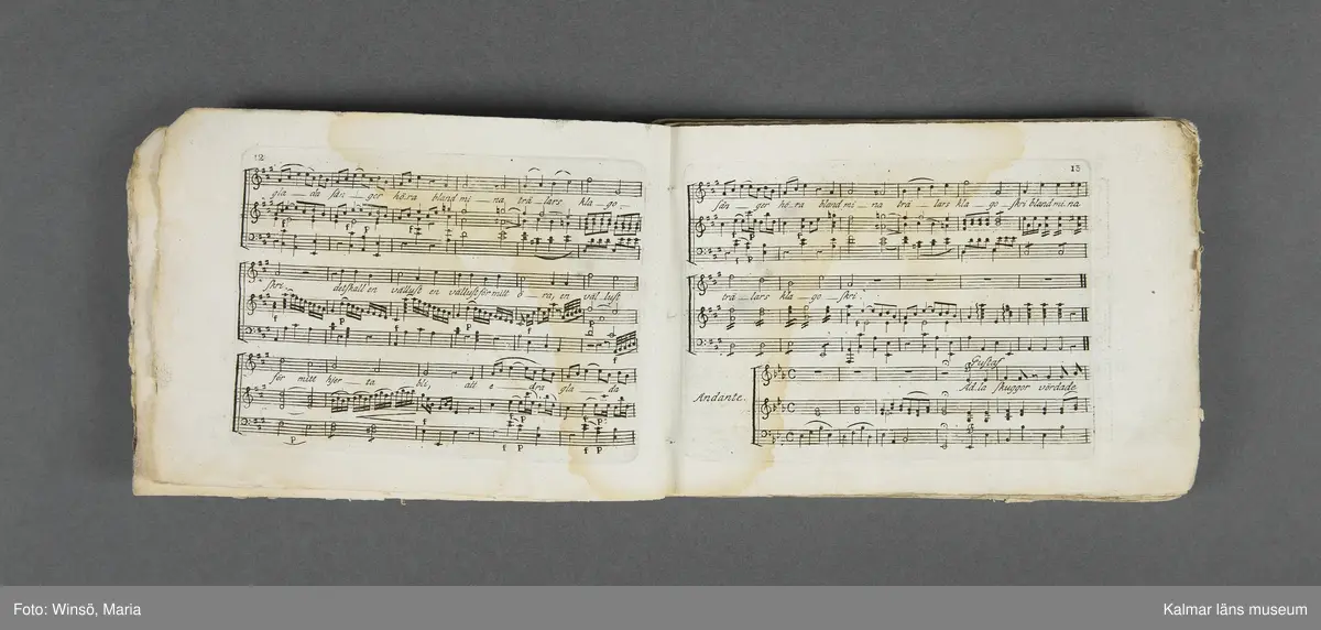 KLM 21069:1. Notbok, tryck. Av papper. På omslaget: Musikaliskt Tidsfördrif för år 1802. Stockholm och Kongl. Priviligierade Not-Tryckeriet. Tvärformat. Sidor 77-80 saknas. Kompositioner av bl.a. Naumann, Della-Maria, Åhlström.