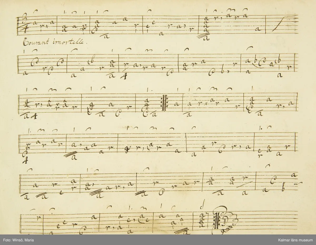 KLM 21068. Notbok, handskrift. 34 blad (68 sidor). Tvärformat. Brunt helt skinnband med präglad gulddekor på ryggen. På pärmens insida en namnteckning: O:F:Stålhammar, samt påklistrad reklametikett i kopparstick för pappershandlare Maingueneau i Paris 1697. På försättsbladet stämplat i svart med Stålhammarska vapnet. 

Handskriften påbörjad från bokens båda sidor. Den första delen består av tabulaturer för barockluta (bild 8-30 illustrerar denna del av boken). På försättsbladet till andra delen av boken: A la Viole de Gambe samt Otto Fried Stålhammar (bild 31 och framåt illustrerar denna delen av boken).