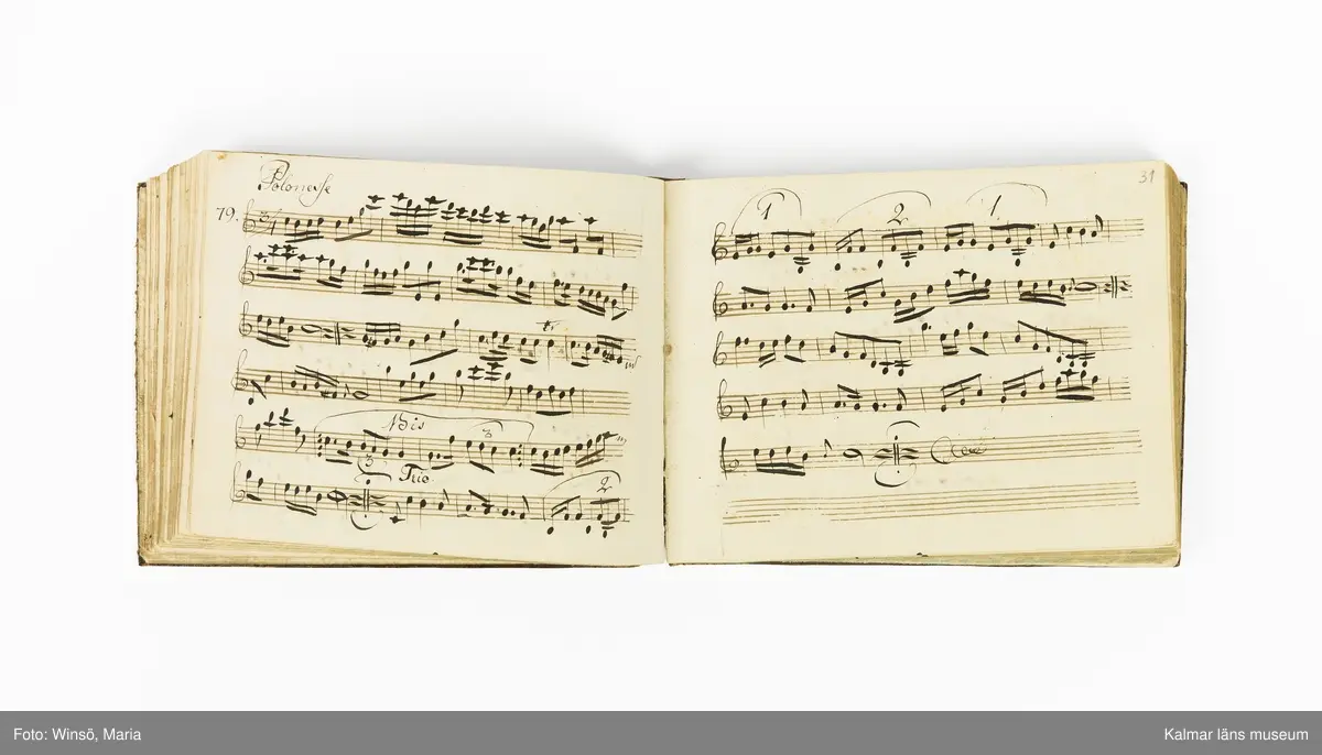 KLM 21071. Notbok, handskrift. Tvärformat. Helt skinnband med marmorering samt guldpräglade dekorelement. På pärmens framsida: VIOLINO PRIMO. På försättsbladet: I:N:J:C. samt Adam Lorentz Stålhammar ao 1773. Därefter handskrivna kompositioner, menuetter.