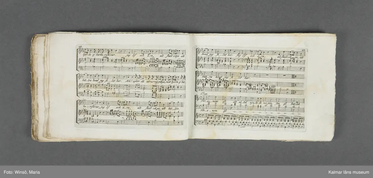 KLM 21069:1. Notbok, tryck. Av papper. På omslaget: Musikaliskt Tidsfördrif för år 1802. Stockholm och Kongl. Priviligierade Not-Tryckeriet. Tvärformat. Sidor 77-80 saknas. Kompositioner av bl.a. Naumann, Della-Maria, Åhlström.