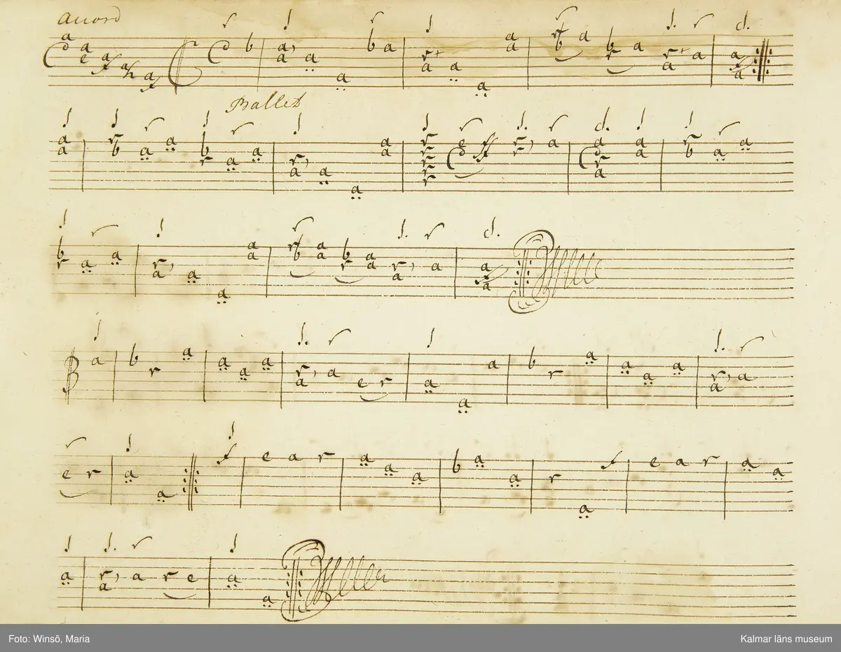 KLM 21068. Notbok, handskrift. 34 blad (68 sidor). Tvärformat. Brunt helt skinnband med präglad gulddekor på ryggen. På pärmens insida en namnteckning: O:F:Stålhammar, samt påklistrad reklametikett i kopparstick för pappershandlare Maingueneau i Paris 1697. På försättsbladet stämplat i svart med Stålhammarska vapnet. 

Handskriften påbörjad från bokens båda sidor. Den första delen består av tabulaturer för barockluta (bild 8-30 illustrerar denna del av boken). På försättsbladet till andra delen av boken: A la Viole de Gambe samt Otto Fried Stålhammar (bild 31 och framåt illustrerar denna delen av boken).