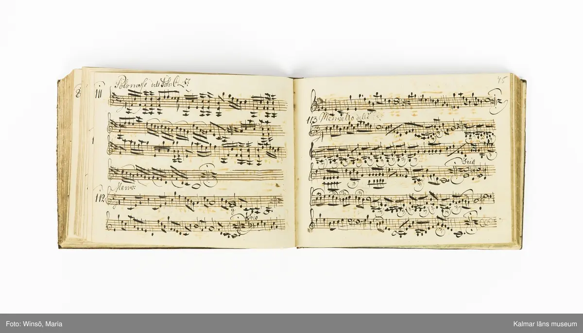KLM 21071. Notbok, handskrift. Tvärformat. Helt skinnband med marmorering samt guldpräglade dekorelement. På pärmens framsida: VIOLINO PRIMO. På försättsbladet: I:N:J:C. samt Adam Lorentz Stålhammar ao 1773. Därefter handskrivna kompositioner, menuetter.