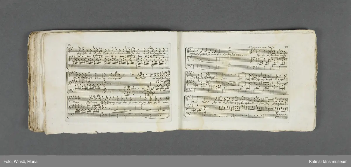 KLM 21069:1. Notbok, tryck. Av papper. På omslaget: Musikaliskt Tidsfördrif för år 1802. Stockholm och Kongl. Priviligierade Not-Tryckeriet. Tvärformat. Sidor 77-80 saknas. Kompositioner av bl.a. Naumann, Della-Maria, Åhlström.