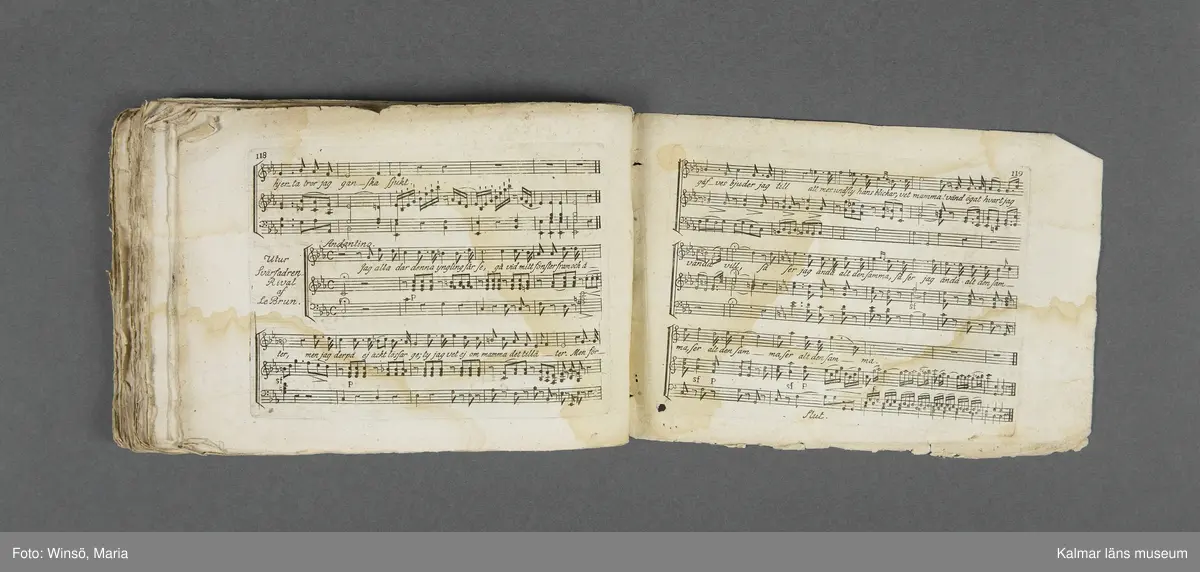 KLM 21069:1. Notbok, tryck. Av papper. På omslaget: Musikaliskt Tidsfördrif för år 1802. Stockholm och Kongl. Priviligierade Not-Tryckeriet. Tvärformat. Sidor 77-80 saknas. Kompositioner av bl.a. Naumann, Della-Maria, Åhlström.