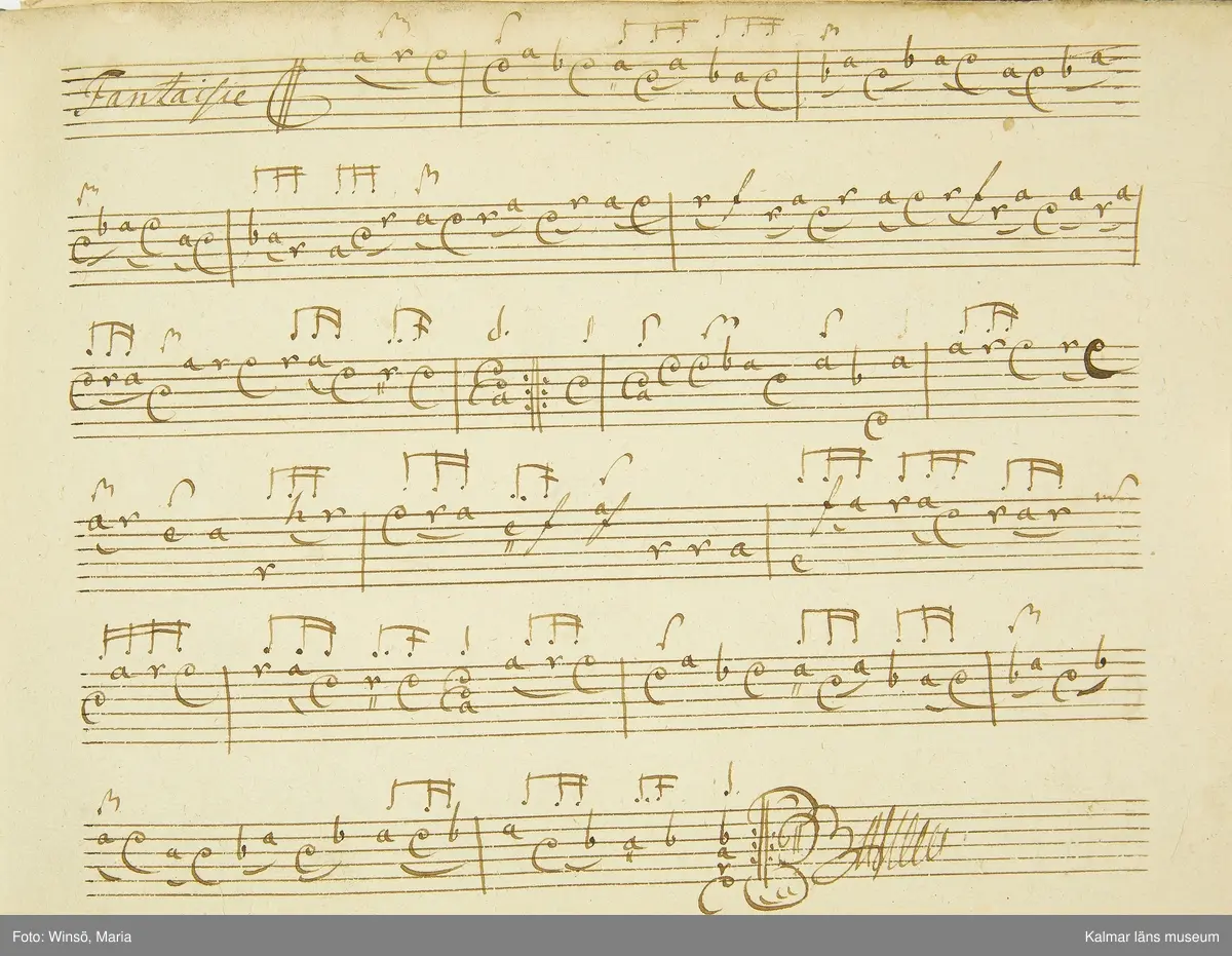 KLM 21068. Notbok, handskrift. 34 blad (68 sidor). Tvärformat. Brunt helt skinnband med präglad gulddekor på ryggen. På pärmens insida en namnteckning: O:F:Stålhammar, samt påklistrad reklametikett i kopparstick för pappershandlare Maingueneau i Paris 1697. På försättsbladet stämplat i svart med Stålhammarska vapnet. 

Handskriften påbörjad från bokens båda sidor. Den första delen består av tabulaturer för barockluta (bild 8-30 illustrerar denna del av boken). På försättsbladet till andra delen av boken: A la Viole de Gambe samt Otto Fried Stålhammar (bild 31 och framåt illustrerar denna delen av boken).