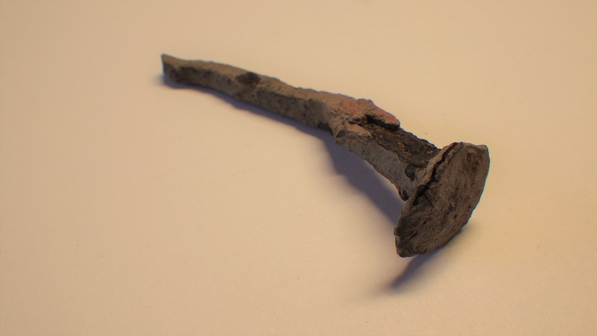 MALV: L. 5, 5 CM