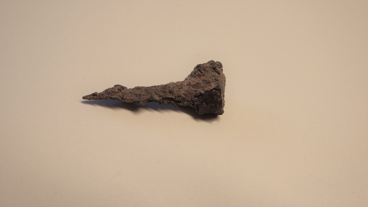 MALV: L. 4, 2 CM