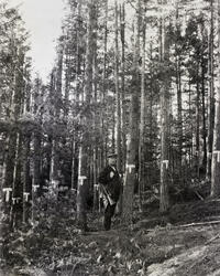 Gunnulv Halvorsson Staurheim på jakt