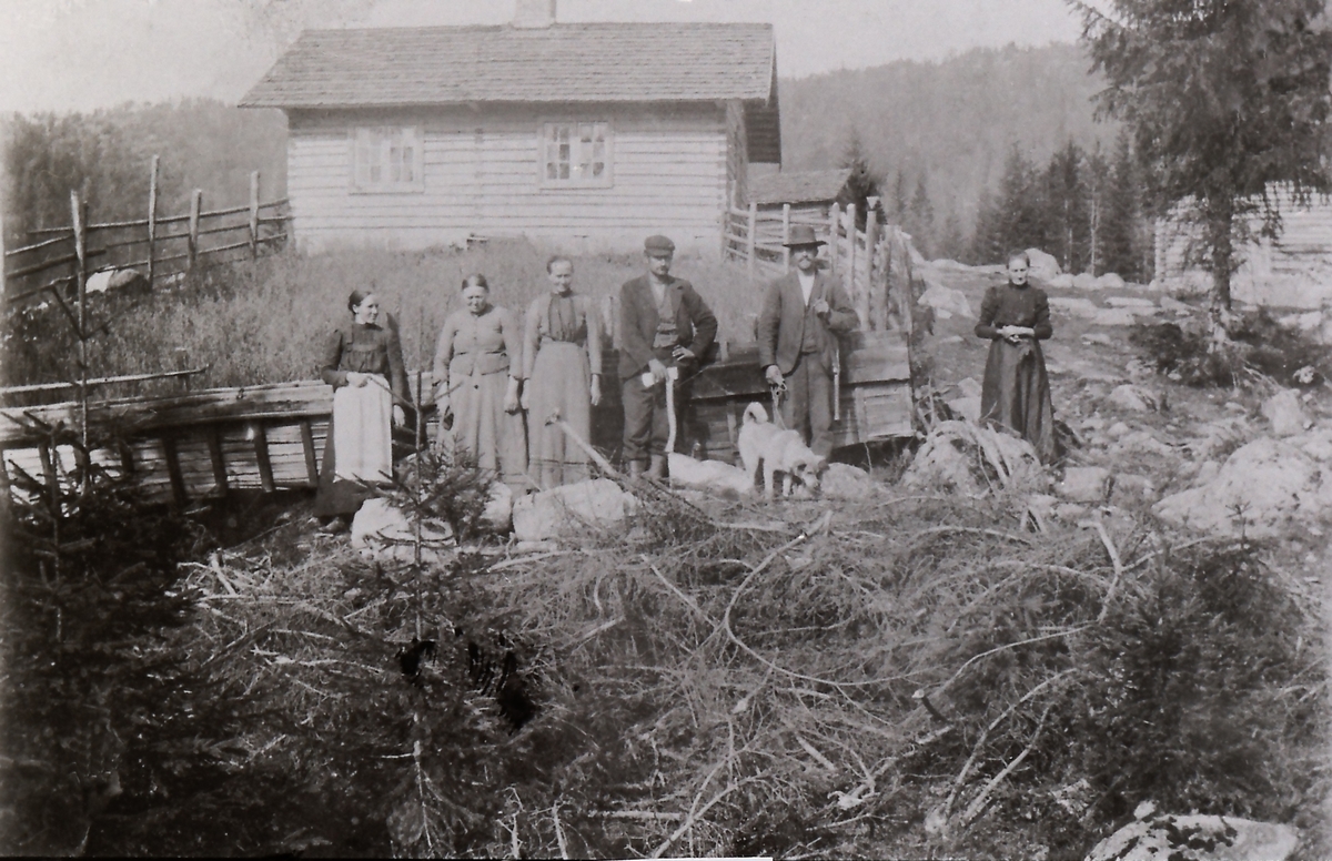 Reinesetra på Hajern. Fra venstre: Betzy Sand f. 1874, Trine Reinemoen f. 1851, Knud S Løwe f. 1858, Gunelia Løwe f. 1859 og hunden Rapp. Bildet fra 1900. Orginalen tilhører Birgitte Kiste f Løwe i Siljan