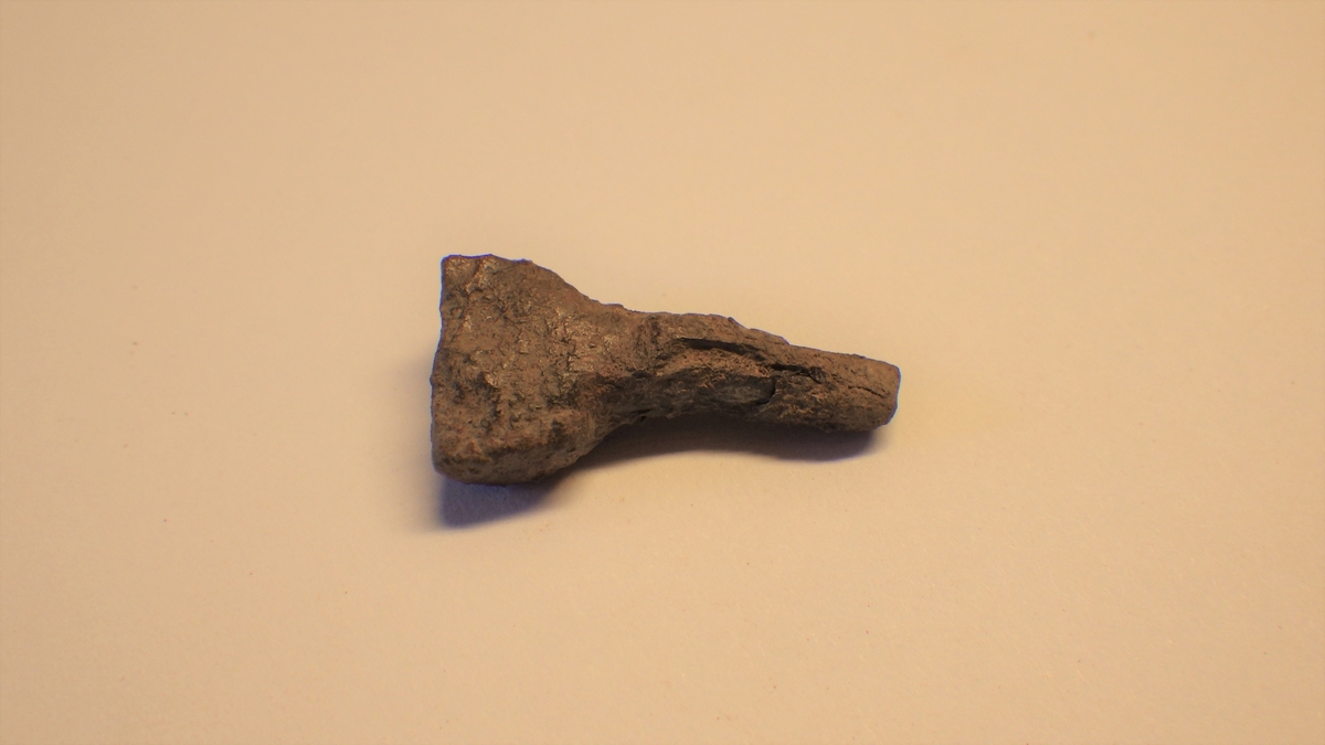 MALV: L. 2, 3 CM