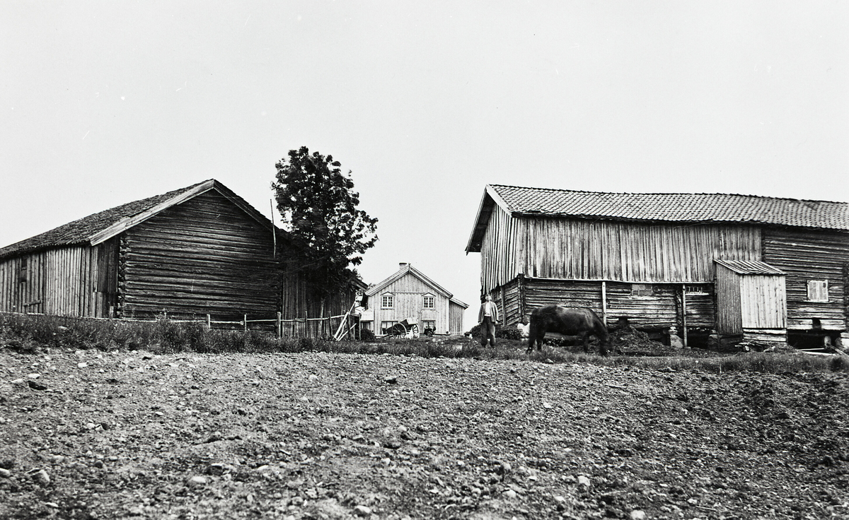 Øvre Ågetveit i Bø -Bø Museum / DigitaltMuseum