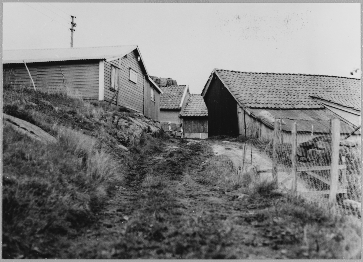 Åmdal -Dalane Folkemuseum / DigitaltMuseum