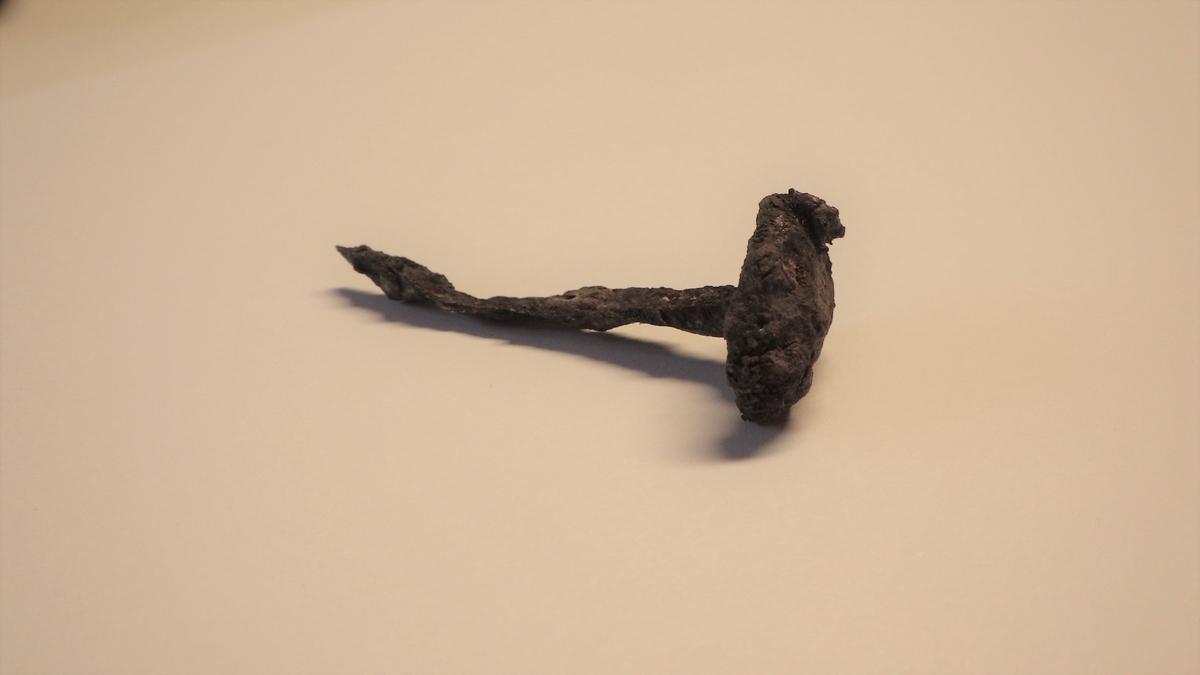 MALV: L. 4, 2 CM