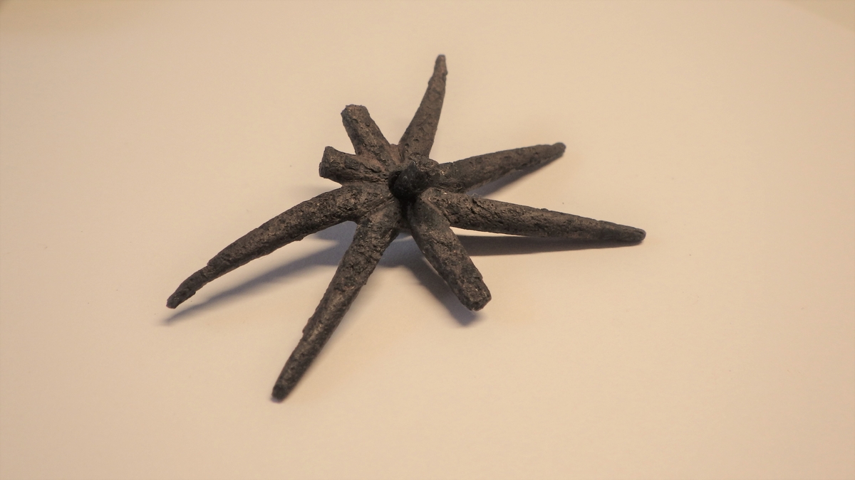Spore
