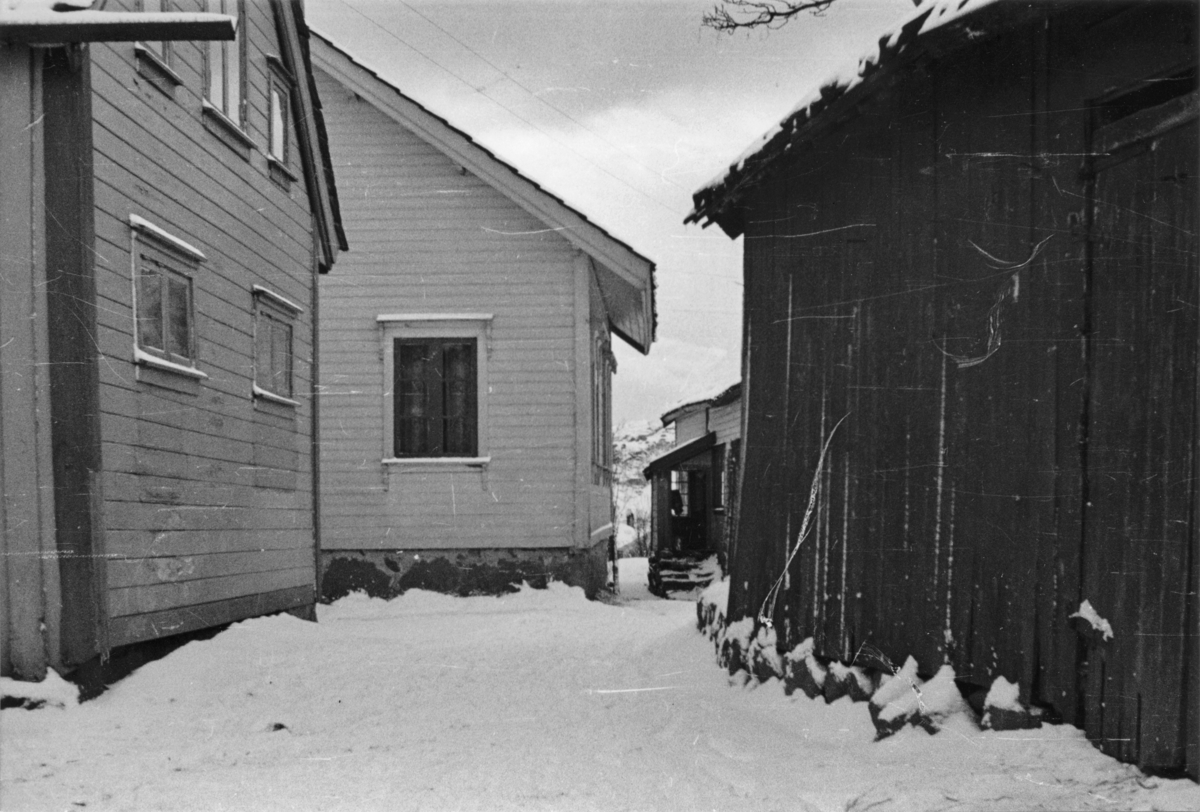 Tunet på Havsøy, 9. januar 1944.