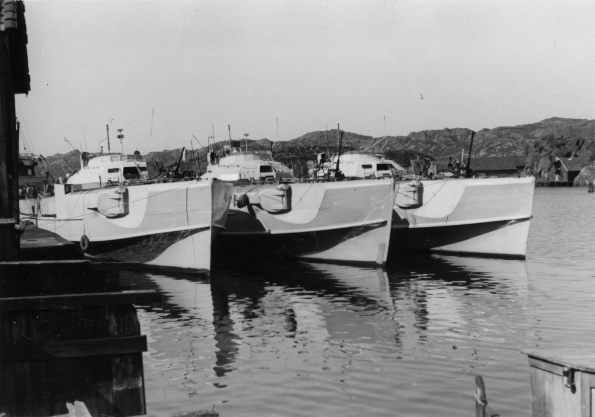 Tyske motortorpedobåter (også kalt "Schnellboote"), mai 1945.