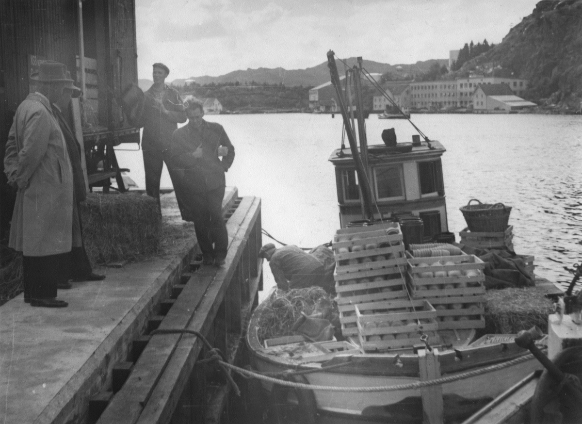 Eieskøyta fortøyd ved Jernbanekaien, ca. 1950.