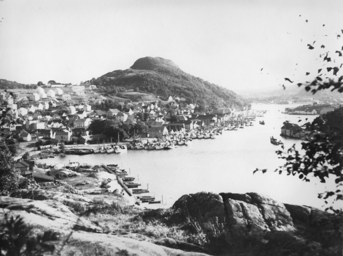 Egersund havn under sildefisket, ca. 1950.