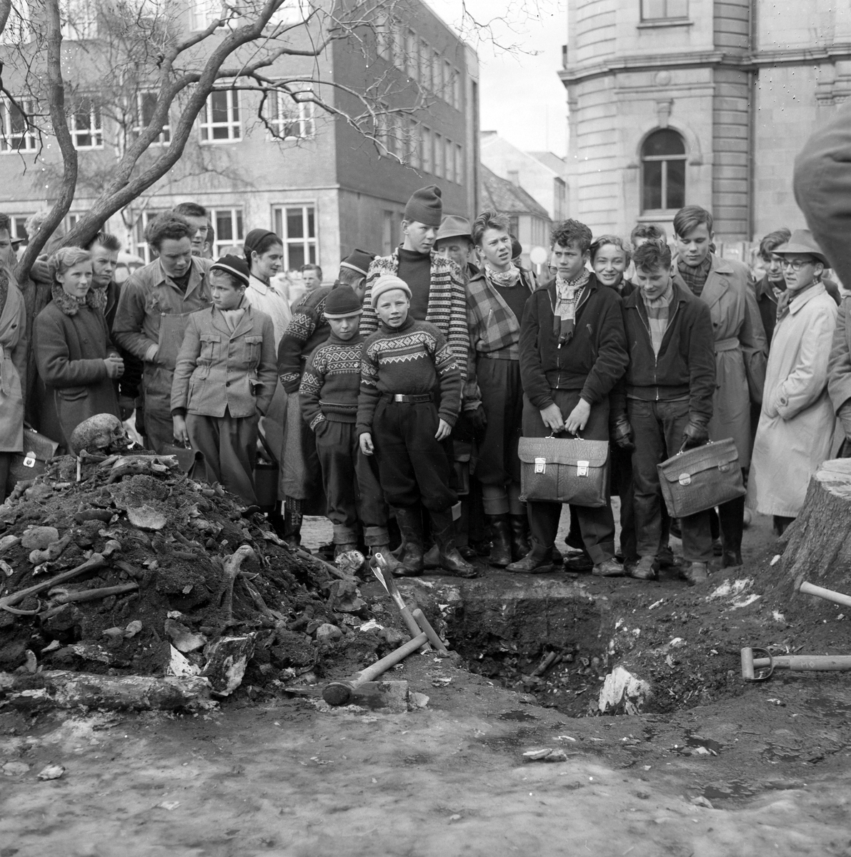 Funn av skjelettrester ved fjerning av gammel ask i Tordenskioldsparken