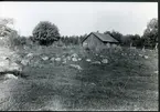 Västerås-Barkarö sn, Västerås kn, Ridön.
Ruin  efter kapellet på Ridön.