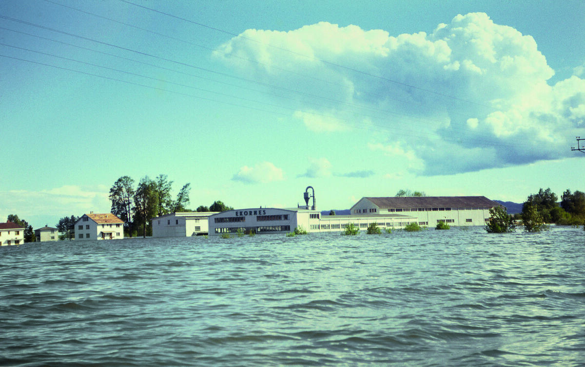 Foto: Gabriel Westeren