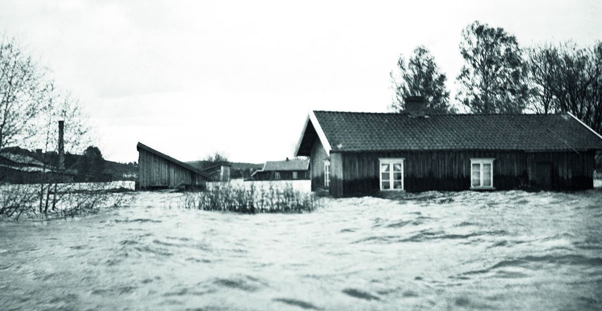 Foto: Anno Norsk Skogmuseum