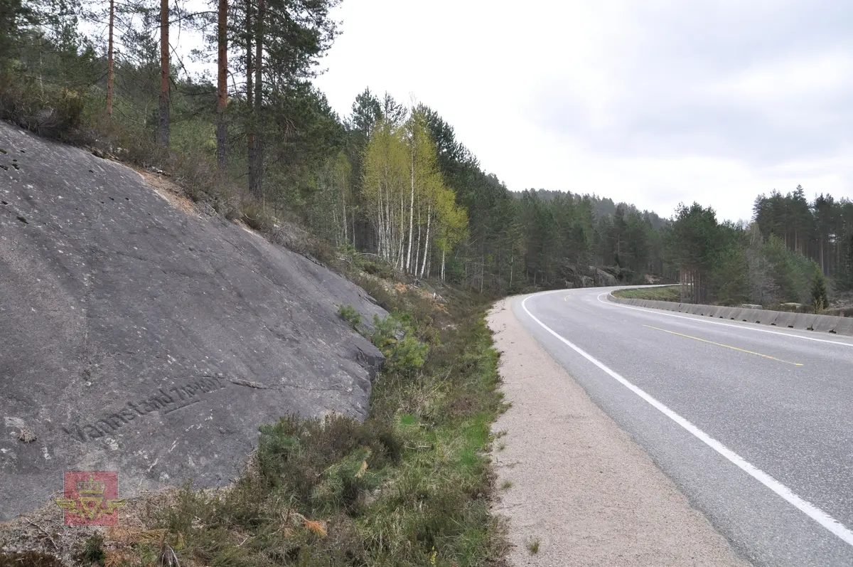 Flommerke  med tekst hugd inn i fjellet: Vannstand 7-10-1992.  Ligger ved riksveg 41, hovedparsell 07 km 14,350. 

Registrert for Statens vegvesen av Næs Jernverksmuseum i 2012 som del av prosjekt med registrering av milepeler og grensemerker mm.

Stedsnavn: Øy