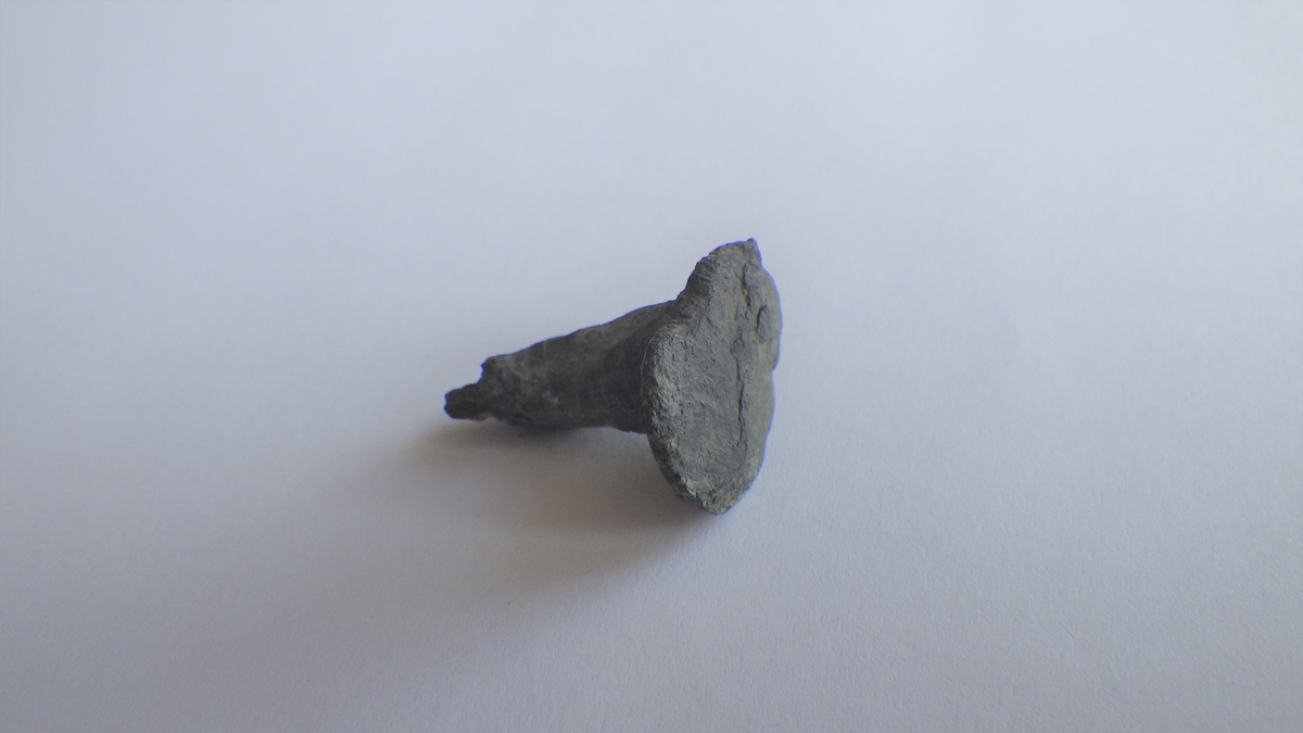 MÅL: L. 20 MM B. (HODE) 9 MM, KORT GROV NAGLE MED TYDELIGE PRODUKSJONSSPOR.