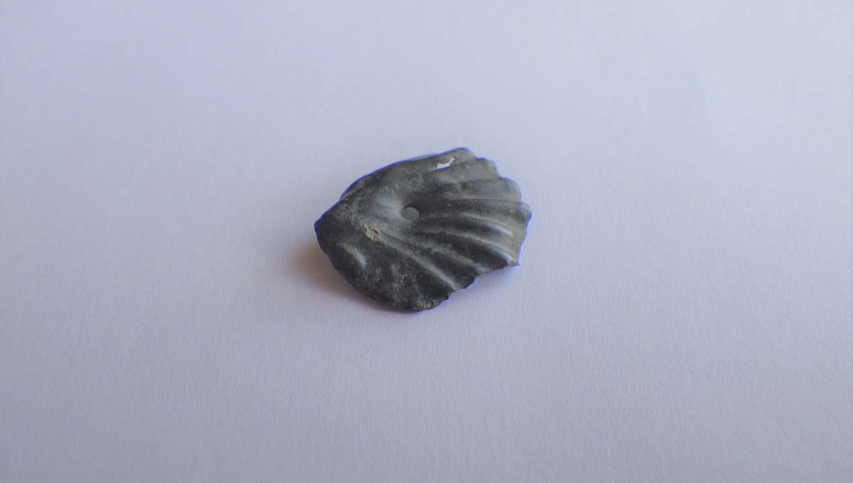 MÅL: DIAM. CA. 16 MM, FORMET SOM ET LITE KAMSKJELL MED HULL.