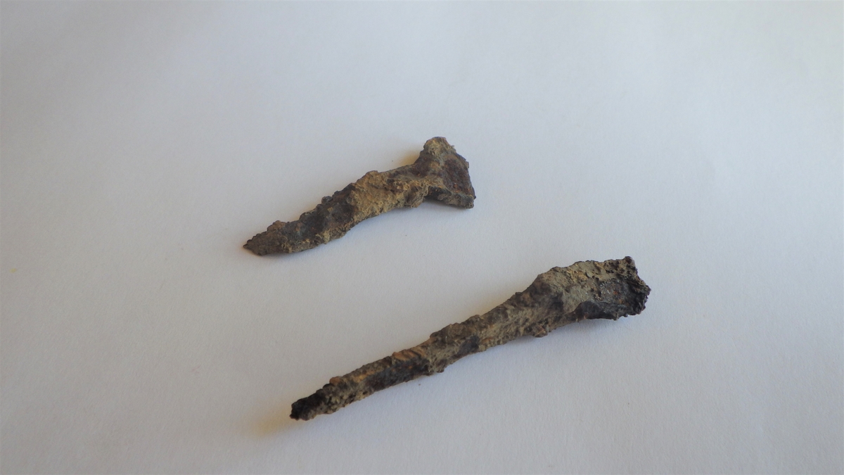 MALV: A) L. 5, 8 CM B) L. 4, 6 CM