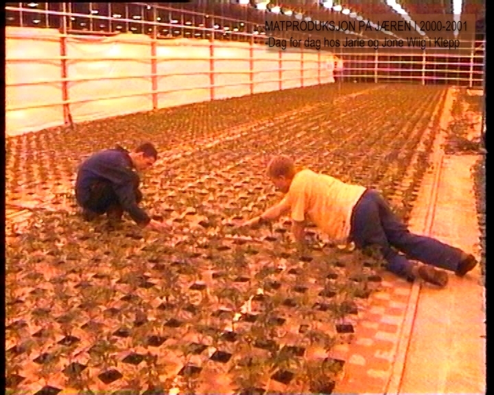 Redigerte versjonar av opptak frå samtidsprosjektet PR2000.01 Vik2000