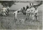Några militärer på bild övar vid en 15 cm haubits m/39.