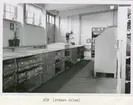T1 , CÖF (främre del)