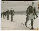 Ett led skidåkande militärer.