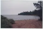 Havs-eller sjövik troligen nära minnesstenar i området.