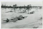 Finnarna vid Saija by på Karelska näset år 1941.