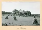 Stuga och ladugård, Skärkind.60 Alfvestad