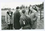 KFÖ 1975, Vikbolandet.
