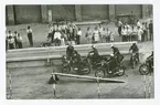 Regementets dag 1971.MC-uppvisning.12 komp.
MC förare framifrån Renell,Hultgren,Hoan,Wigh,Stenmark,
Gustavsson och Larsson.