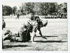 Stafett.Regementets dag 1971,grenadjärvallen.
