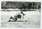 Regementets dag 1971.Grenadjärvallen.