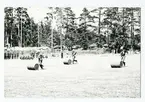 Stafett,grenadjärvallen.
Regementets dag 1971.