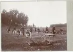 Infanteri i början av 1890-talet. Skjutövning.