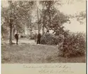 Intendentsaspiranten E. Hedenberg
Löjtnant Carl Erik Malm. Malmen 1888.