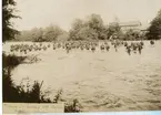 Vadning över svartån,Odenfors.