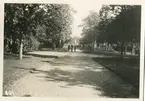 Officersgången Malmslätt minnesfesten 1922.
Major Egerström.