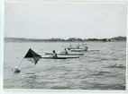 Kanottävling 1900-tal.